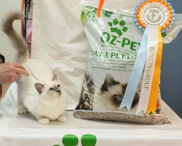 Eldorato at FCVV Summer show 